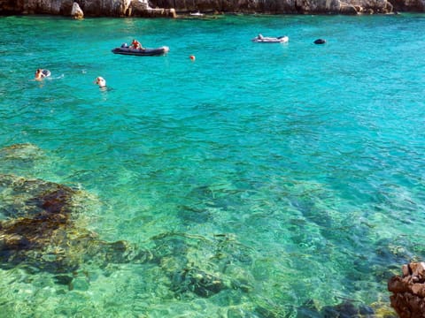 Neighbourhood, Natural landscape, Beach