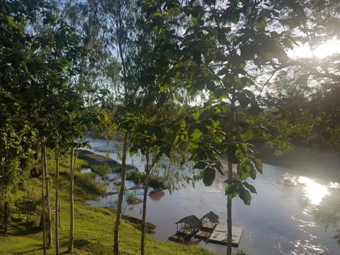 Natural landscape, River view, River view