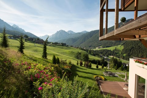 Spring, Day, Natural landscape, Garden, Garden view, Mountain view