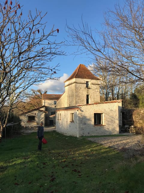 Property building, Garden, Garden view