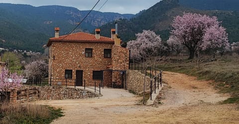 Casas Rurales La Loma Country House in Riópar