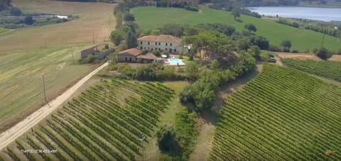 Natural landscape, Garden, Hiking, Garden view, Lake view