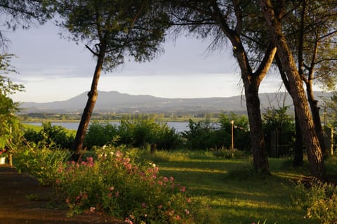 Natural landscape, Garden, Hiking, Garden view, Lake view