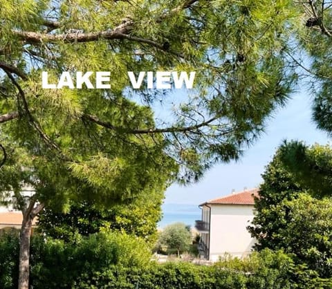 Lake view
