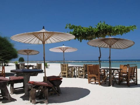 Malibu Beach Bungalows Hotel in Ko Pha-ngan Sub-district