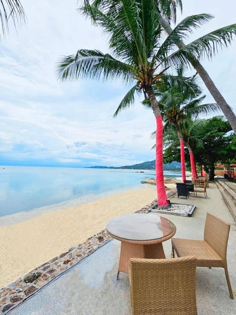 Seating area, Beach, Sunset