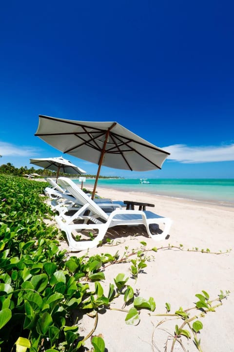 Beach, sunbed