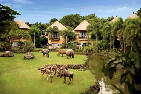 View (from property/room), Animals, Garden view