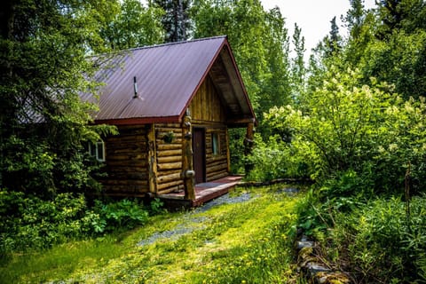 Midnight Sun Log Cabins Natur-Lodge in Moose Pass