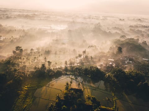 Bird's eye view, Sunrise