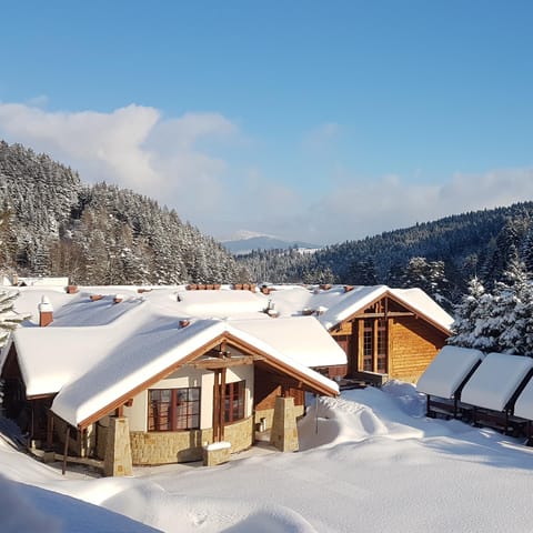 Property building, Neighbourhood, Winter, Mountain view