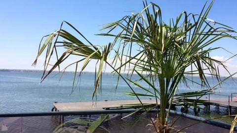 Balcony/Terrace, Garden view, Garden view, Lake view, Lake view, Pool view, Pool view