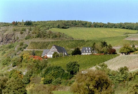 Natural landscape, Bird's eye view