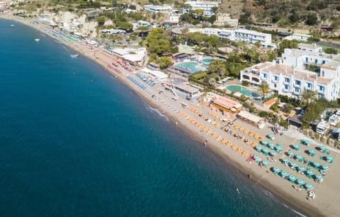 Bird's eye view, Snorkeling, Diving, On site