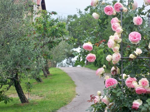 Garden, Balcony/Terrace, Street view