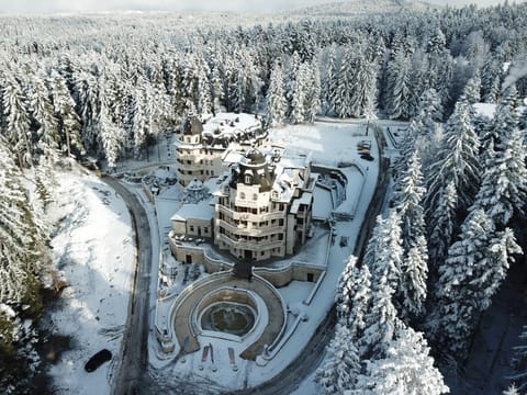 Day, Bird's eye view, Winter