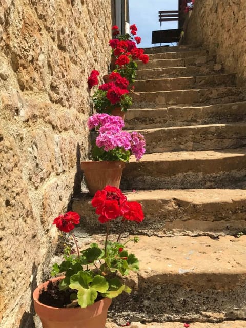 Manoir de Rieuzal Bed and Breakfast in Occitanie