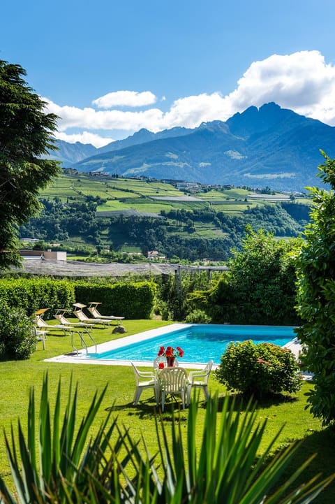 Day, Swimming pool