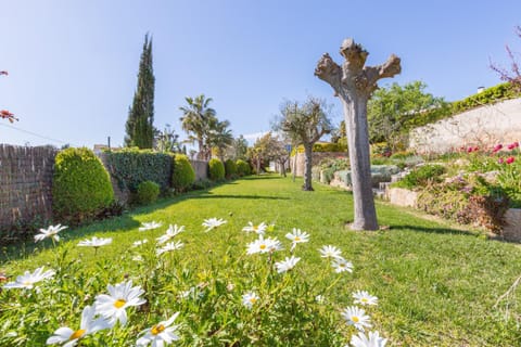 Patio, Garden, Garden view