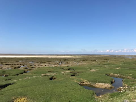 Neighbourhood, Natural landscape