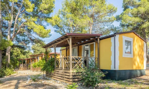 Property building, Day, Garden