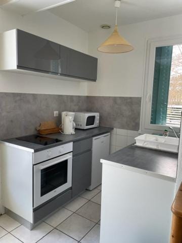 Kitchen or kitchenette, minibar, stove, toaster