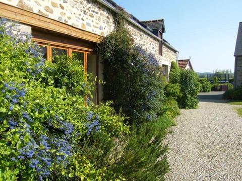 Property building, Garden view