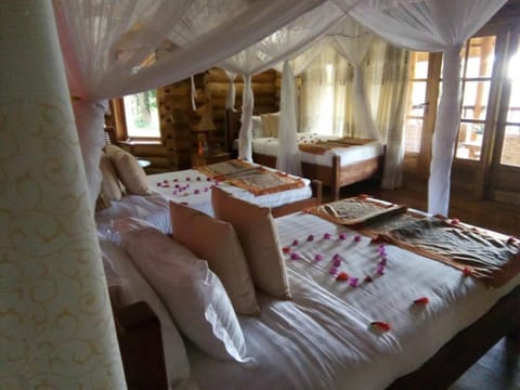 Trackers Safari Lodge Bwindi Nature lodge in Uganda