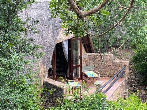 Big Cave Camp Lodge nature in Zimbabwe