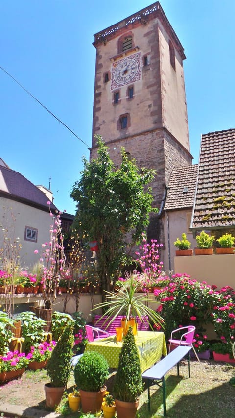 Nearby landmark, Neighbourhood, Summer, Garden, Other, Decorative detail, City view, Garden view