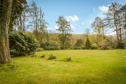 Garden, Garden, On site, Garden view