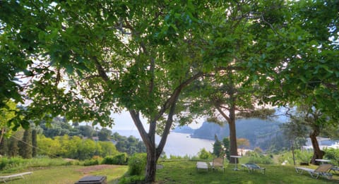 Patio, Sea view