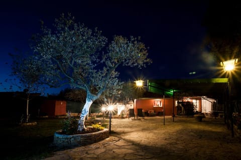 Night, Garden