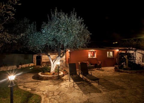 Night, Garden