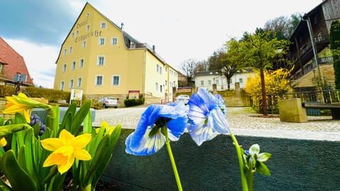 Apartments Erbgericht Apartment in Bad Schandau