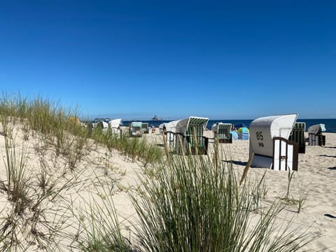 Neighbourhood, Natural landscape, Beach