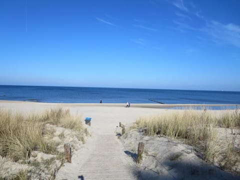 Natural landscape, Beach