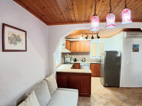 Hellenes house Apartment in Lefkada