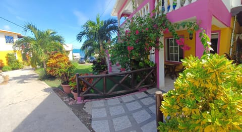 Property building, Day, Garden, Garden view