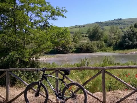 Nearby landmark, Natural landscape