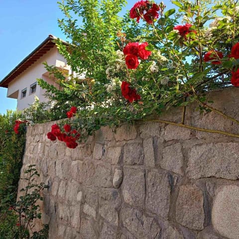 Pirin Private Houses Bed and Breakfast in Blagoevgrad Province