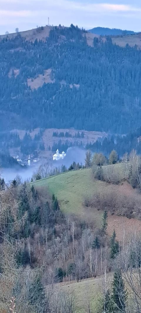 Pensiune Agroturistică Casa Alex Bed and Breakfast in Cluj County