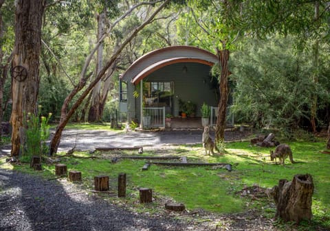 A Heavenly Escape House in Halls Gap