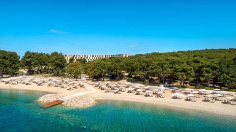 Bird's eye view, Beach