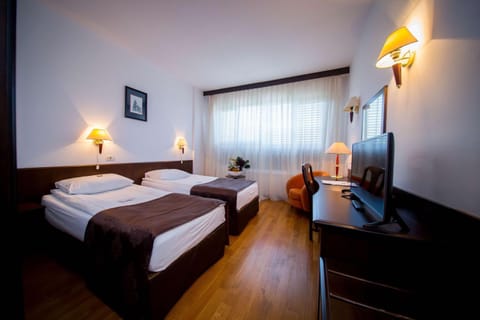 Best Western Central Hotel Hotel in Timiș County