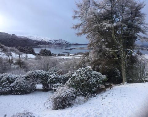 Oban Seil Farm Chalet in Scotland