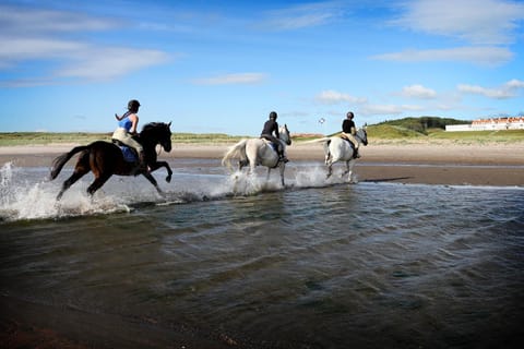 Horse-riding