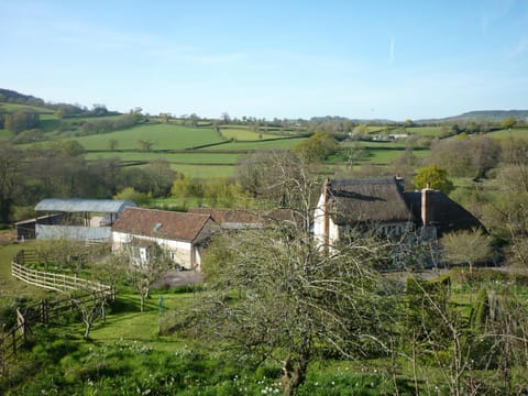 Old Orchard Cottage House in East Devon District