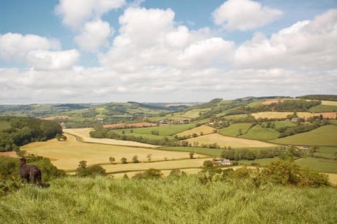 Nearby landmark, Neighbourhood, Natural landscape