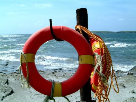 Spring, Beach, Windsurfing, Area and facilities